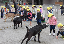 移動動物園