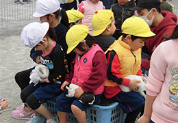 移動動物園