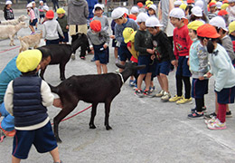 移動動物園