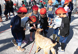 移動動物園